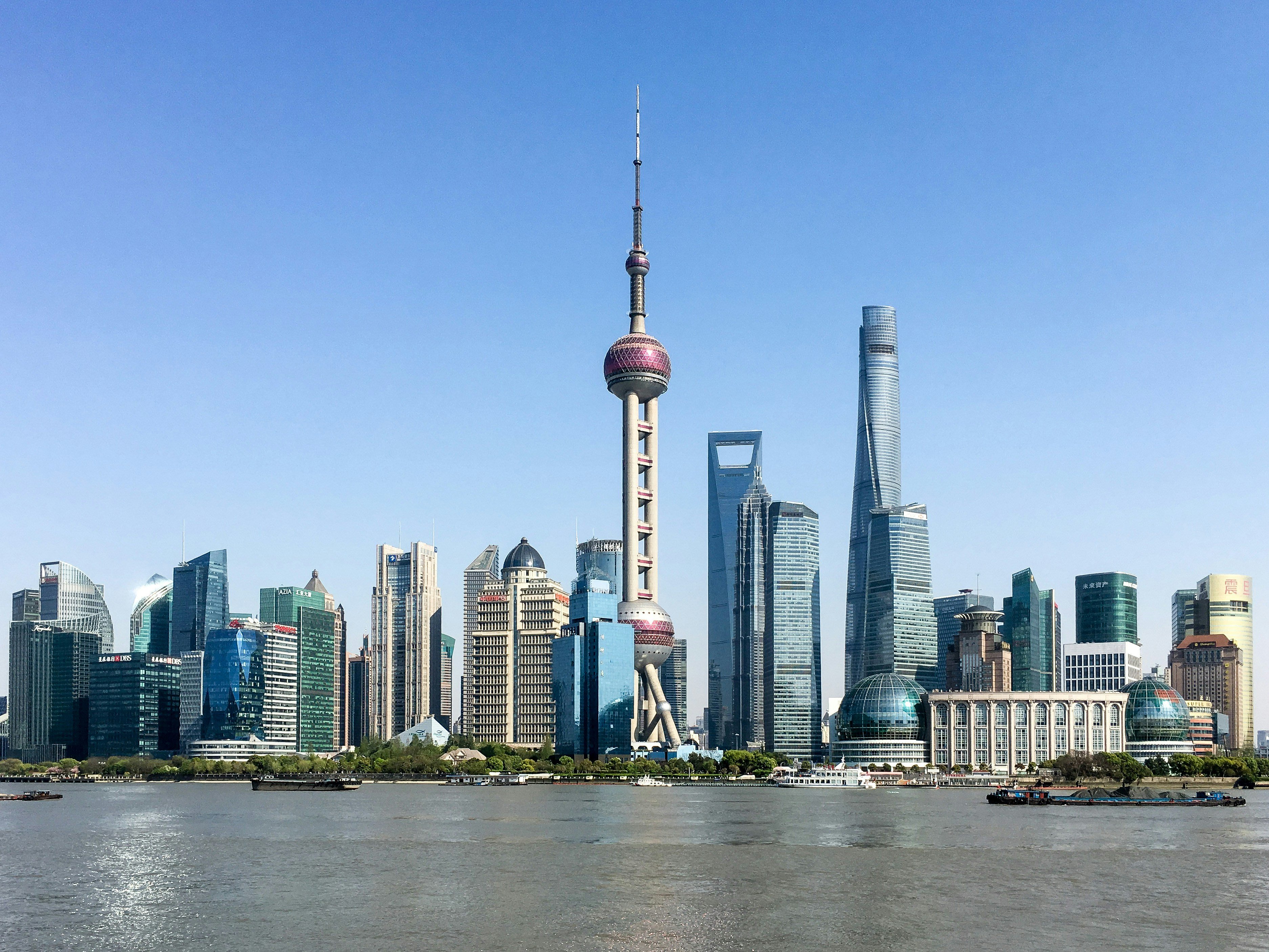 The Shanghai skyline