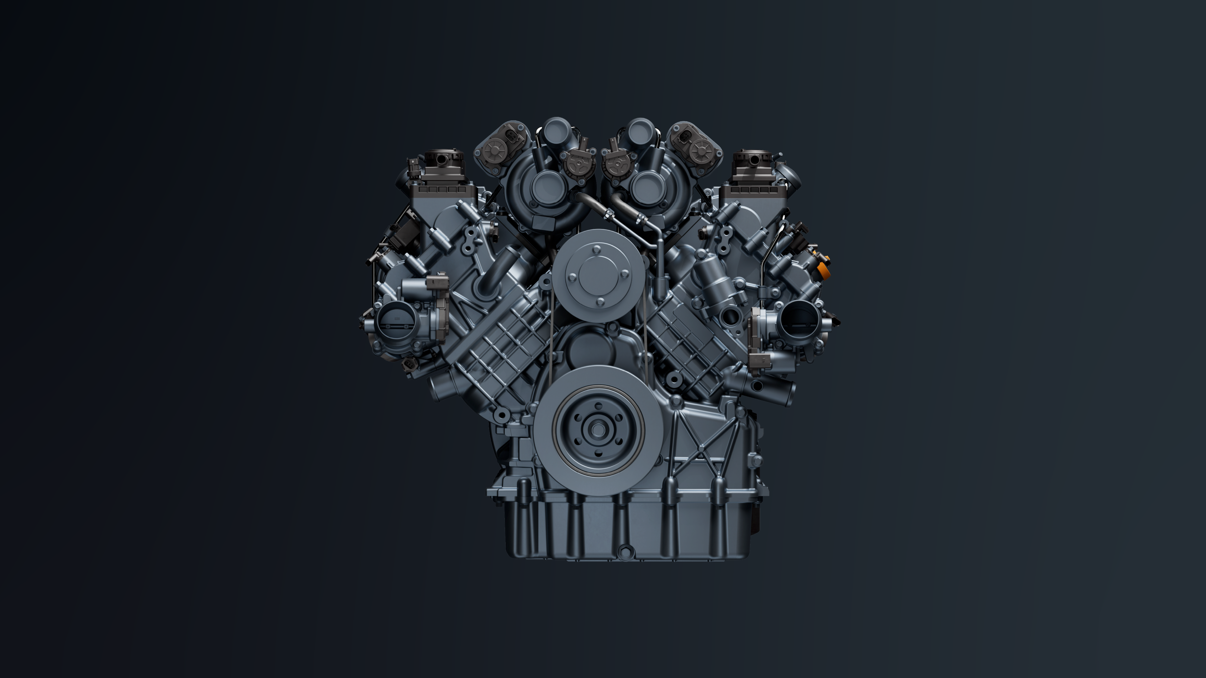 Close-up of W30