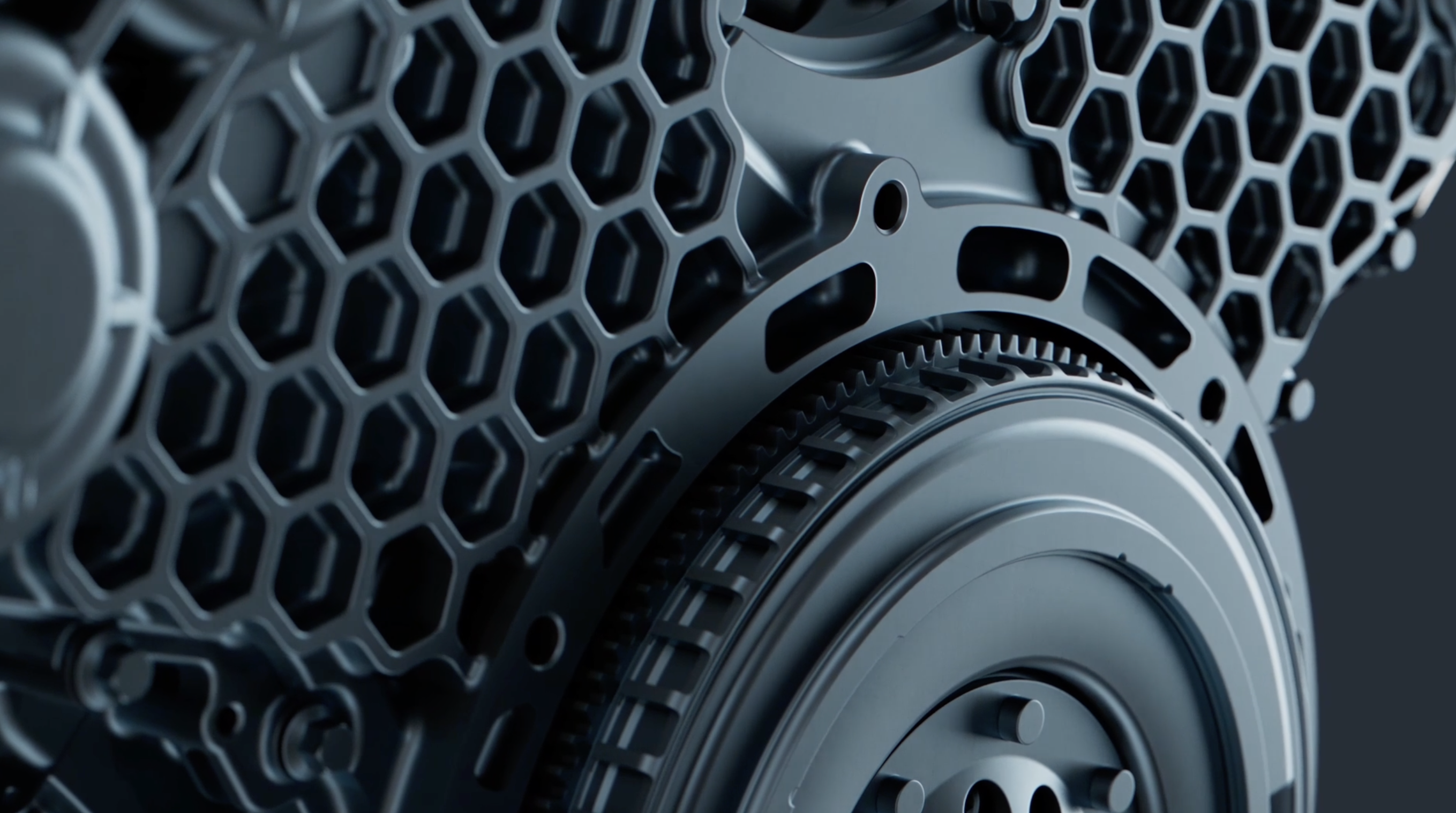 Close-up of W30